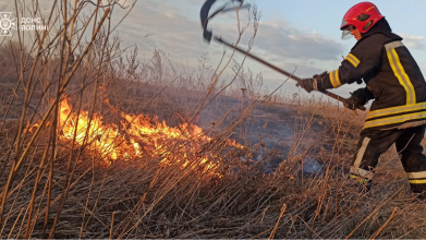 На Волині за добу загасили понад 14 гектарів вогню в екосистемах