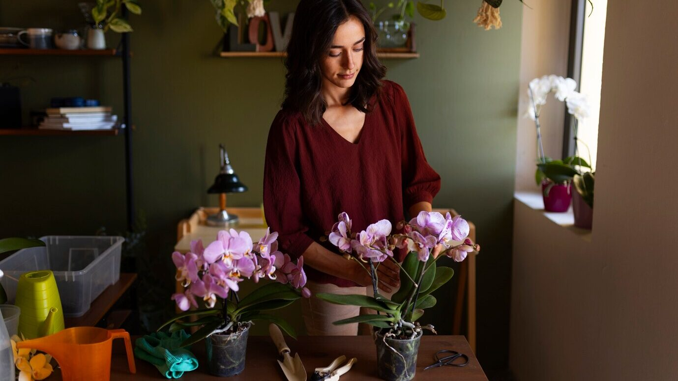 Як простимулювати орхідею до цвітіння