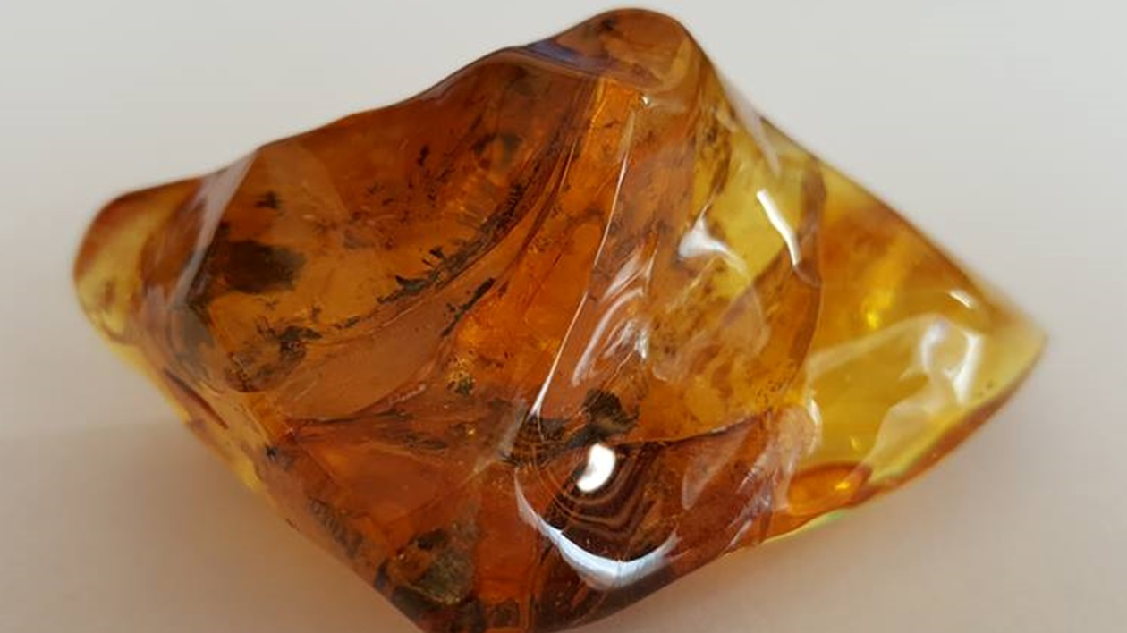 бурштин, Рвненщина