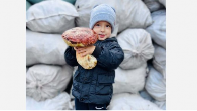 Наприкінці жовтня на Волині знайшли білого гриба вагою 1,2 кілограма: фото знахідки