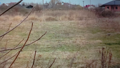 Стадіон чи дерибан: у Луцьку сперечаються через 2 га комунальної землі