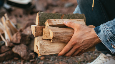 Де і за скільки на Волині можна купити дрова