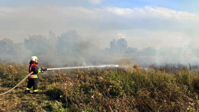 На Волині за добу вигоріло понад шість гектарів у п’яти локація: оштрафували одного палія