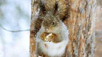 погода у Волинській області