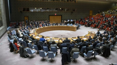 Рада безпеки ООН відкинула резолюцію Росії щодо пошуку «біологічної зброї» в Україні