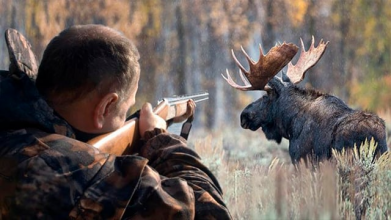 Зубр, олень і лось: на Волині браконьєри застрелили червонокнижних тварин