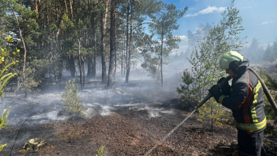 На Волині загорілася суха трава – під загрозою опинився ліс