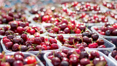 Золоті ягоди: у Луцьку продають черешню по 700 гривень за кілограм