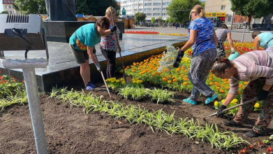 Кущі з деревами та квіти в Луцьку: на озеленення громади цьогоріч хочуть витратити понад 13 млн грн