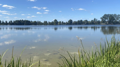 Популярне місце для риболовлі, пікніків та водних розваг: показали озеро на Волині