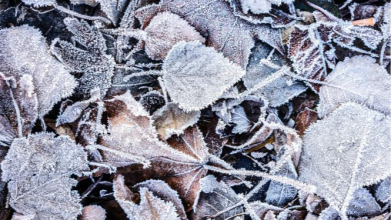 погода в Україні, прогноз погоди на вихідні