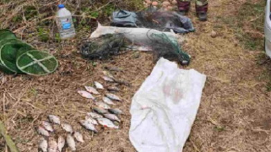 Понад 56 тисяч гривень збитків: на Волині викрили незаконний вилов риби під час нересту