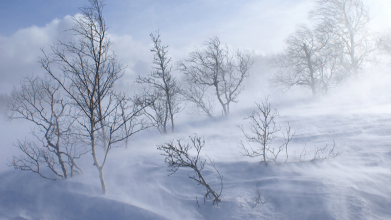 погода в Україні 9 січня