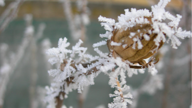 прогноз погоди в Україні