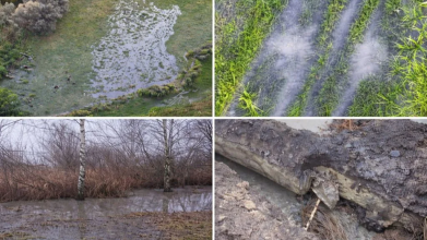 Селу на Волині загрожує екологічна катастрофа: пасовища і городи перетворилися на болото, а воду – неможливо пити