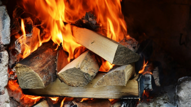 Дрова на зиму: де замовити легально, скільки коштують і за що можна отримати штраф