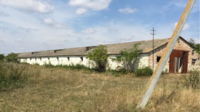 Біля Луцька продають свиноферму за 4 мільйони