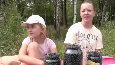 Мало ягід, багато праці: як збирають чорниці на Волині та скільки просять за літр