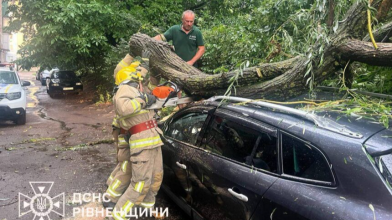 Дубно, дерево, негода, ДСНС