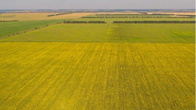 Підприємство на Волині заплатить громаді понад 1 млн грн за користування землею без оформлення