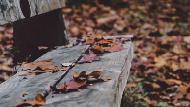 прогноз погоди на 12 листопада