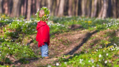 Коли прийде справжня весна на Волинь: синоптики шокували прогнозом погоди на квітень