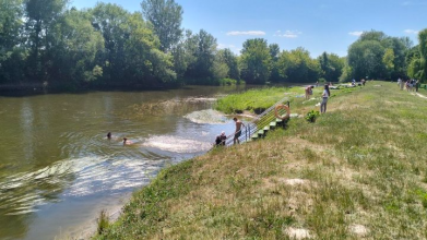 Стир заріс водоростями: жителі Луцька б'ють на сполох через «зелену» воду