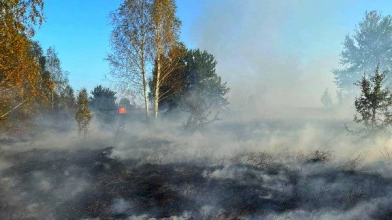 «Це не кадри апокаліпсису»: унікальне поліське село Сваловичі накрила димова завіса