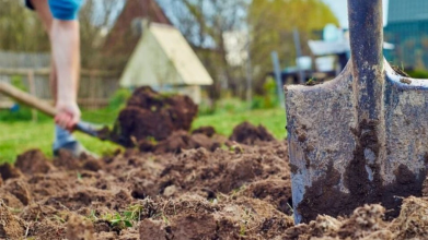 Березневий сигнал від природи: коли вже можна починати роботи на городі