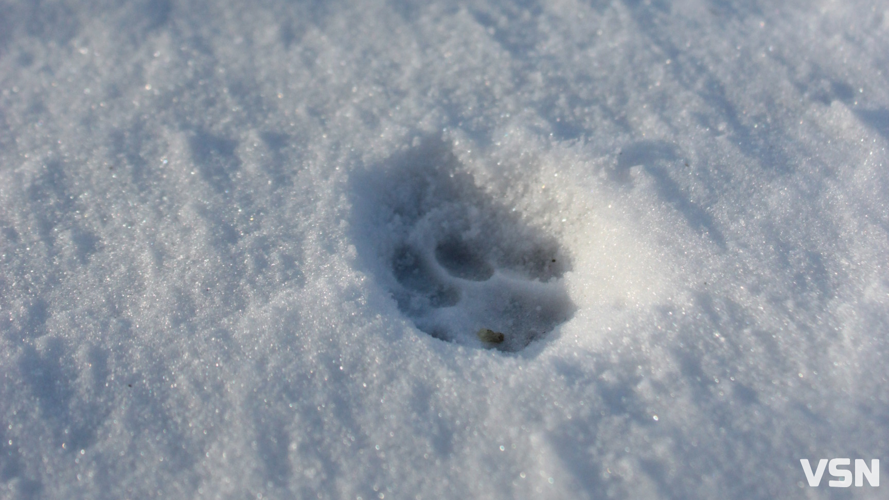 Морози та невеликий сніг: якою буде погода 10 та 11 січня на Волині?