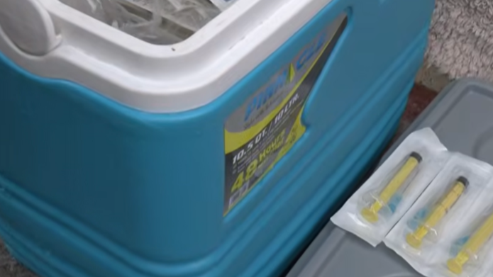 У селах Волині триває вакцинація тварин від сказу