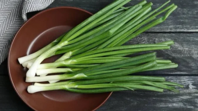 Коли у березні 2026 садити цибулю на перо на городі: найкращі дні