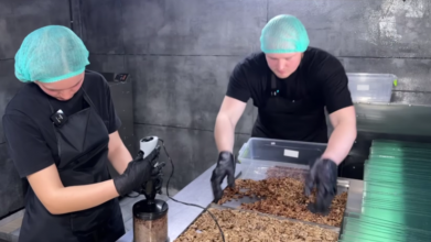 Виготовляють фріпси та пастилу: подружжя з Волині виграли грант від держави