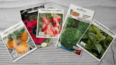 F1, S1 чи OR: як розібратися в маркуванні насіння й обрати правильний сорт