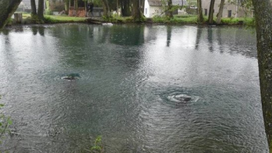 Люди б'ють на сполох: на Волині вже не можна набрати води з унікального джерела