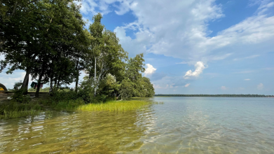 Світязь і Шацькі озера: чому це ідеальна альтернатива морю та скільки коштує відпочинок на Волині