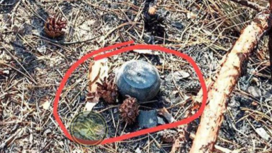 російські міни пряник