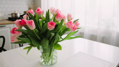 Як продовжити життя тюльпанів у вазі