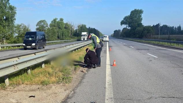59-річний лучанин збив людину на трасі й залишив вмирати: що відомо