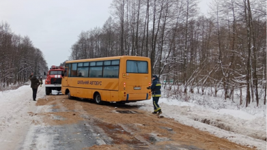 На Волині через ожеледь знесло з дороги шкільний автобус