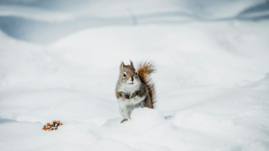 морози в Україні, потепління