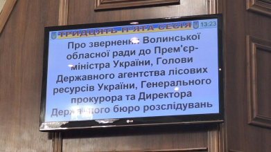 Волиньрада звернулась до уряду та правоохоронних органів щодо блокування діяльності КП «Волиньприродресурс» з боку ДП «Ліси України»