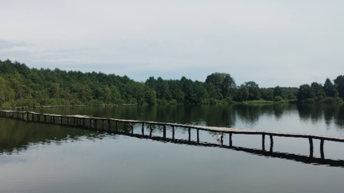 Грушівське озеро на Волині: тихий рай у лісі з пірсами та чистою водою