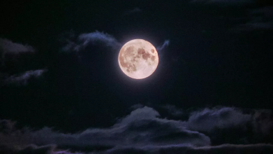 Молодик у квітні 2026 року: що категорично не можна робити