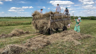Сінокос по-волинськи: з дідівською косою, обідом у затінку та спогадами про поліські болота