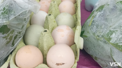 Скільки у Луцьку на ринку коштують домашні курячі яйця