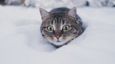 Віра Балабух про погоду взимку