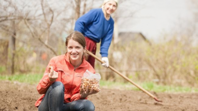 На город не поспішайте: коли після Великодня можна братися до роботи