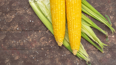 Коли можна садити кукурудзу?