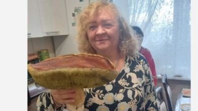 рекордний гриб, Меневичі